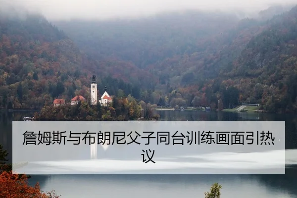 詹姆斯与布朗尼父子同台训练画面引热议